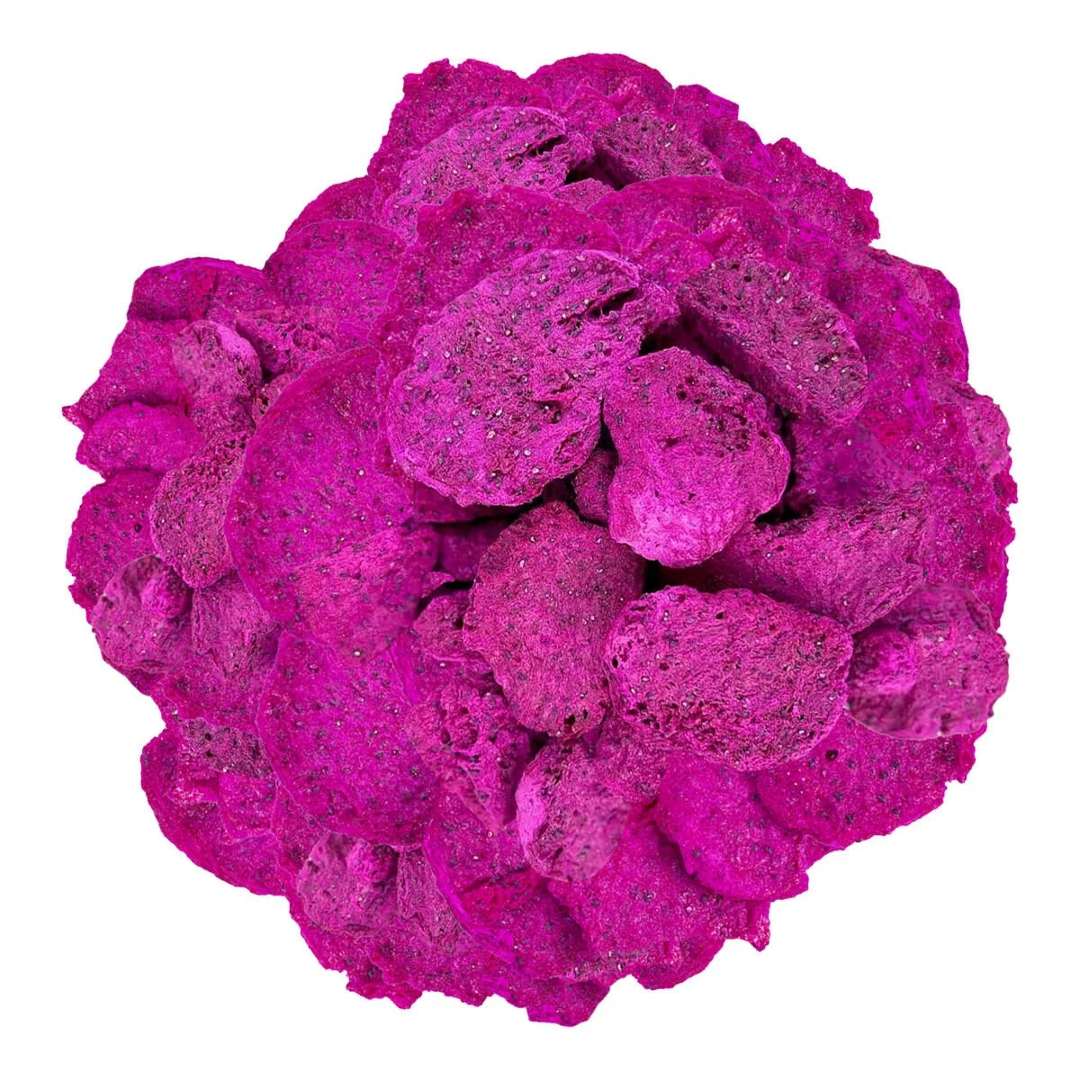 Freeze Dried Purple Dragon Fruit Chips - 25gr | Dokuru