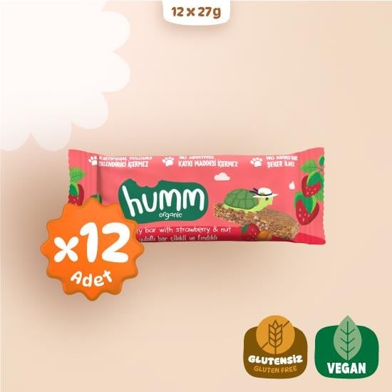 Organic Vegan Strawberry and Hazelnut Oatmeal Bars Snack Pack - 12 pieces | Humm Organic