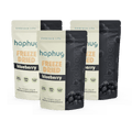 Freeze Dried Blueberries 20g x 3 Pack | Hap Hug