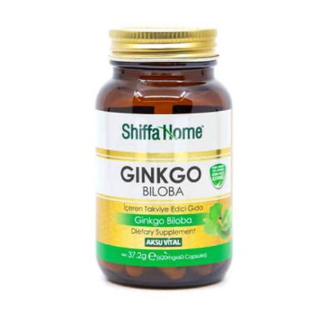 شيفا هوم عشبة Ginkgo Biloba  الجنكة بيلوبا 60 كبسولة | Shiffa Home 